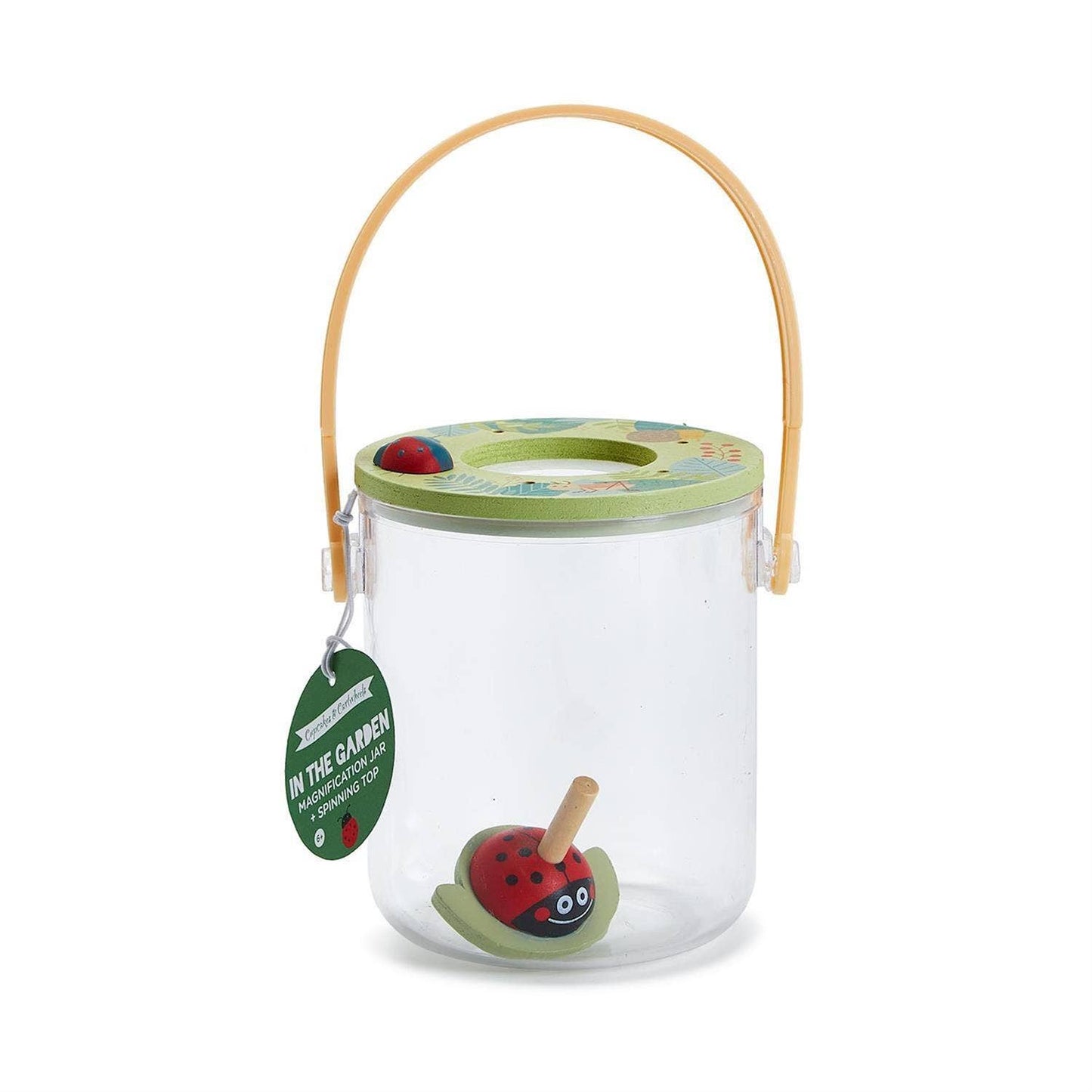 Insect Observation Jar