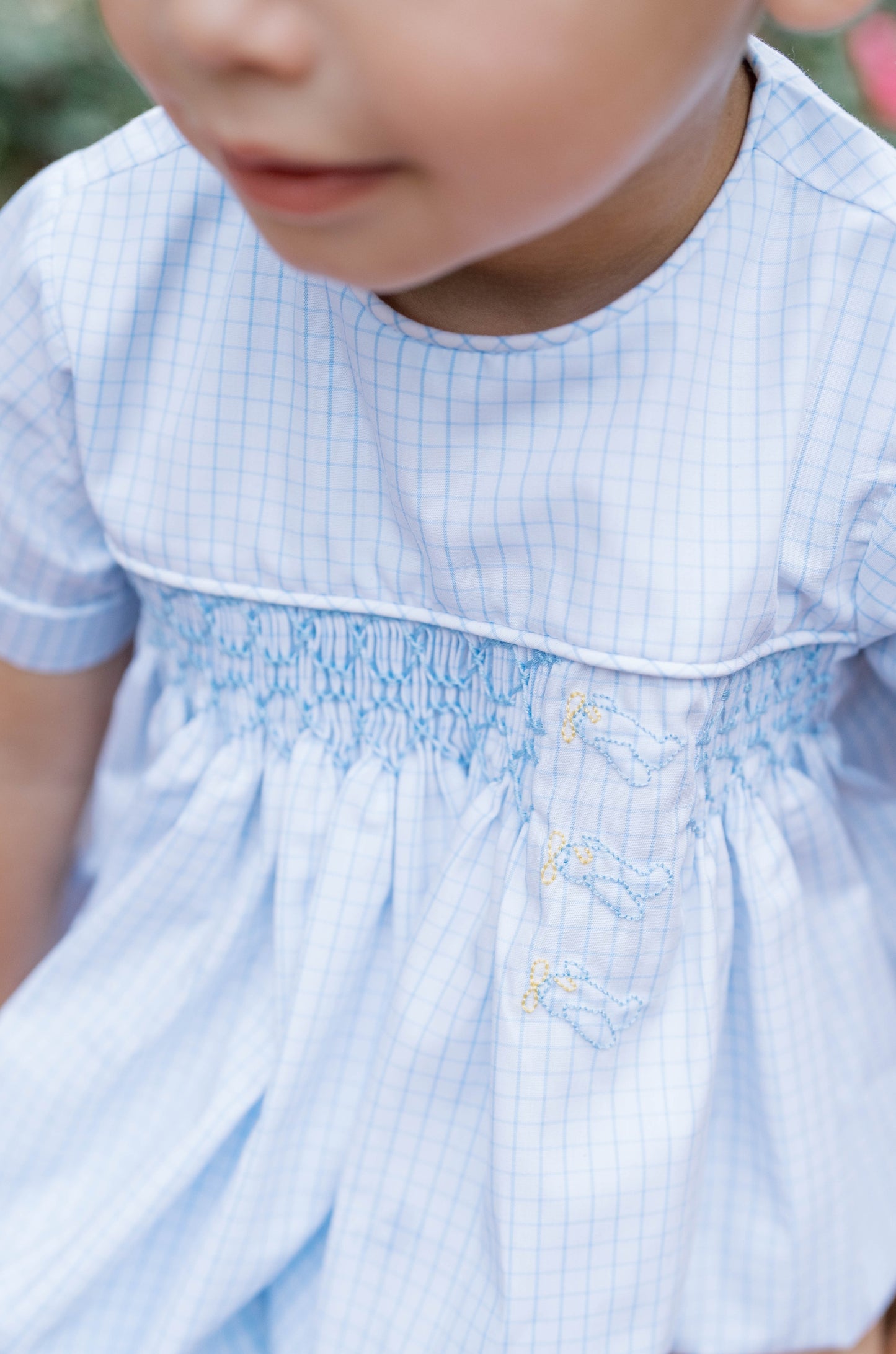 Hayes Bubble, Airplane