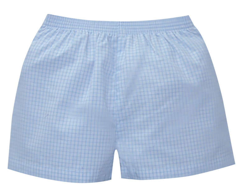 Blue Windowpane Square Bennett Boy Shorts