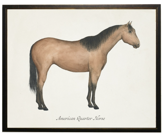 Framed Art, American Quarter Horse