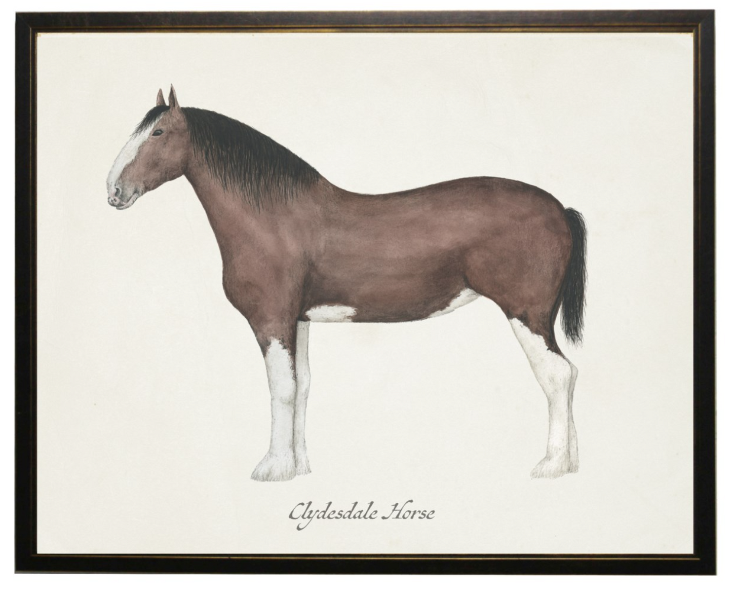 Framed Art, Clydesdale Horse