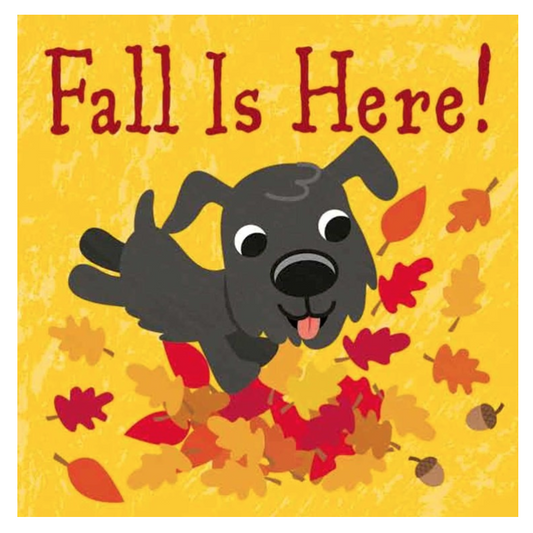 Fall is Here