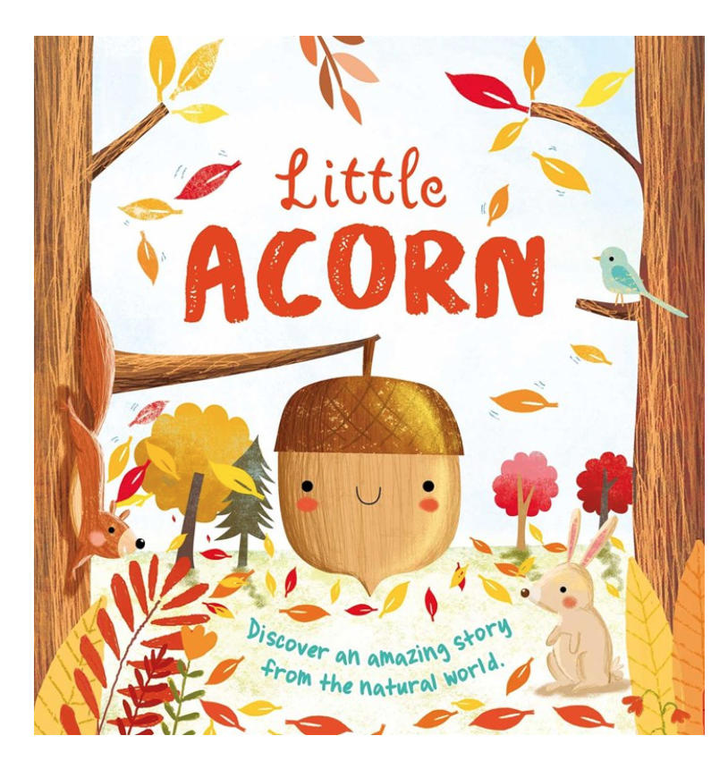 Little Acorn