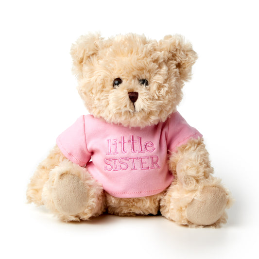 Little Sister Teddy Bear