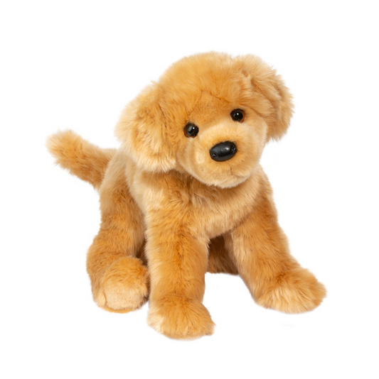 Bella the Golden Retriever