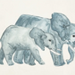 Framed Art, Watercolor Elephants