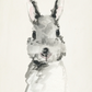Framed Art, Watercolor Baby Rabbit