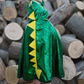 Dragon Knight Reversible Cape