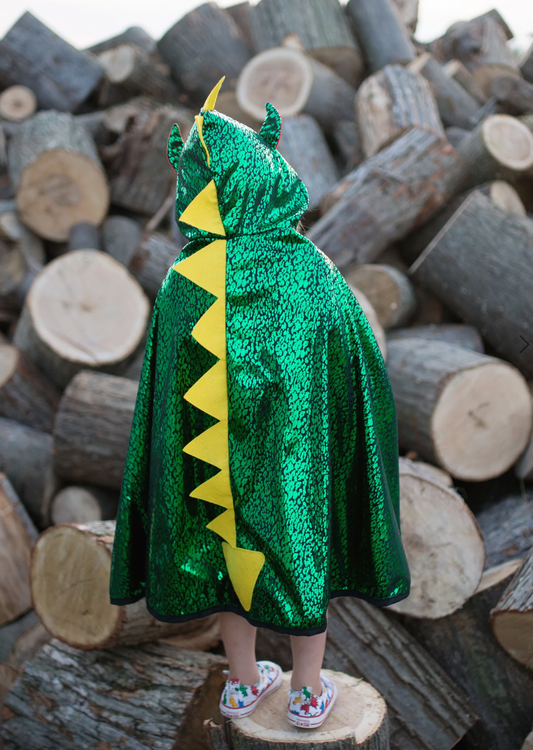 Dragon Knight Reversible Cape