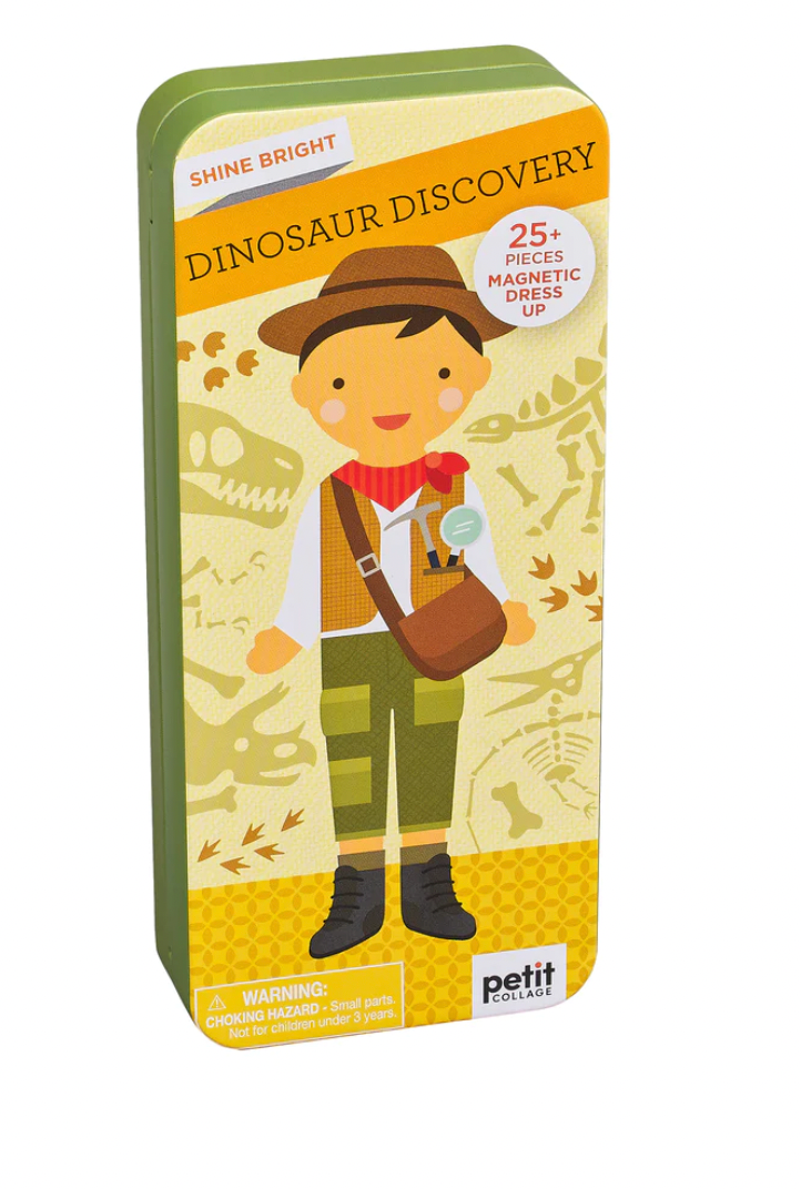 Dinosaur Discovery Shine Bright Magnetic Play Set