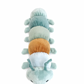 Twiggy Caterpillar