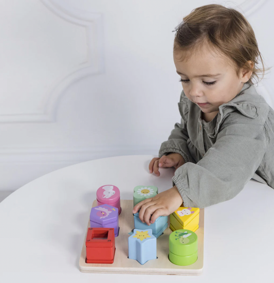 Sensory Shapes