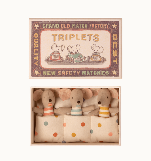 Baby Mice Triplets in Matchbox