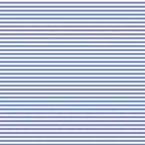 Charles Short Set Blue Stripes